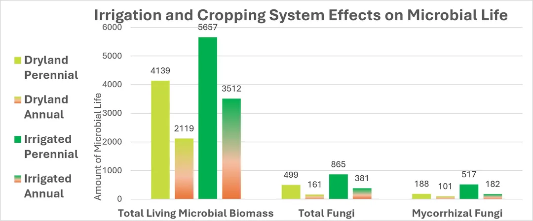 Graph of Change in sample depth VS change in soil organic matter