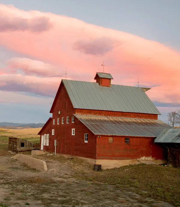 Bob Raynolds farmer