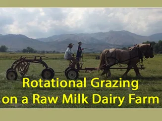 Video of Dale Strickler on cover crops